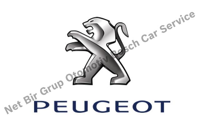 Ankara Peugeot Servisi